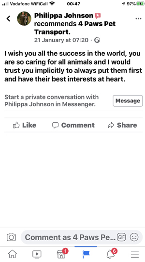 4 Paws Pet Transport Southampton UK image