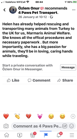 4 Paws Pet Transport Southampton UK image